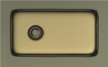 Customized VCSEL die